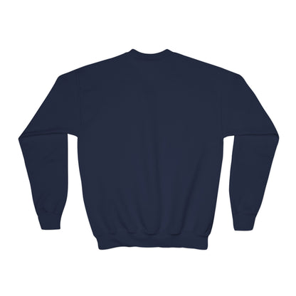 Have Fun Play Hard Talk to Your Posts Youth Crewneck